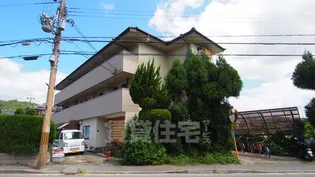 キャピタルサガの画像