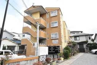 ベイプリンセス大阪の画像