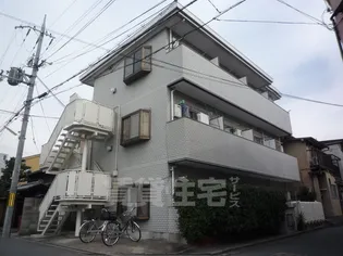 モードコージの画像