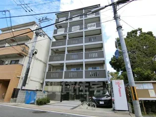 アメイジング桂の画像