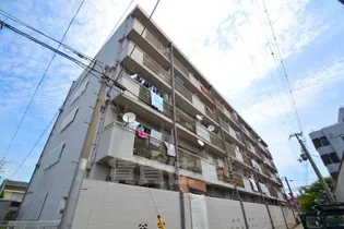 シャトルヨネの画像