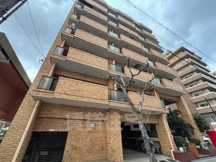 ハイクオリティアドニスの画像