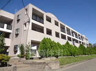 ベルメゾンの画像