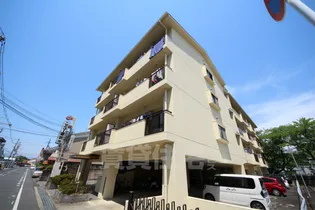 グリーンコロナルの画像