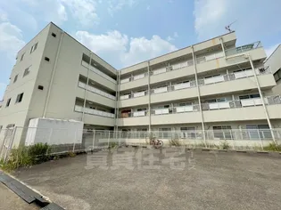 メゾンかせのの画像