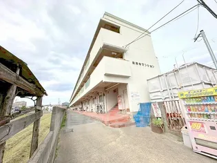 教興寺マンションの画像