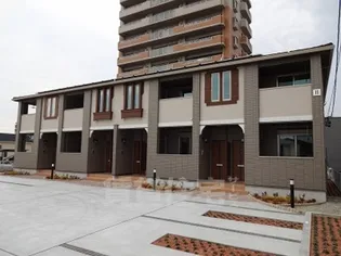 ココペリⅡの画像