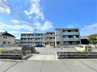 アテーナの画像