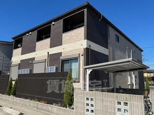 ミルティーユの画像