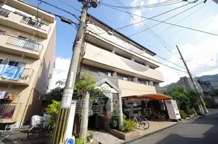 セレーブルの画像