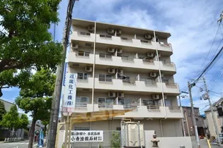 カーザ ベルデの画像