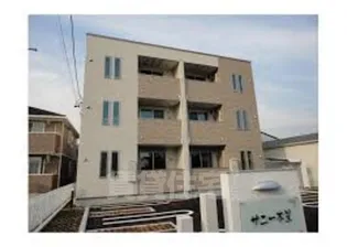 サニー本星の画像