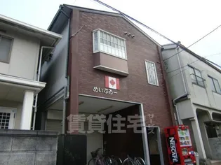 メイプルの画像