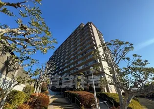 ルネ須磨の画像