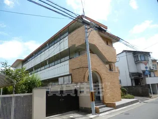 サンシーガルIの画像