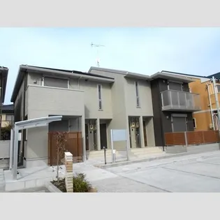 カモーリの画像