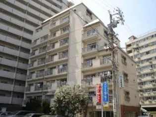 ドルフ千代田の画像