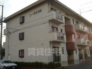 コーポ北花田の画像