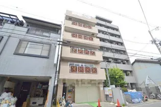 ルイスバラガンの画像