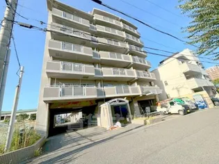 プレジオノーザンライツの画像