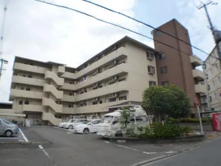 シャロム吉祥院の画像