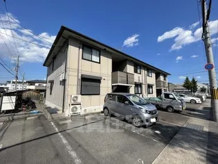 ドムール桂の画像