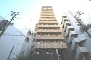 CASSIA TSUKAMOTOの画像