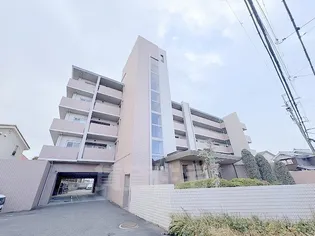 バウムドルフの画像