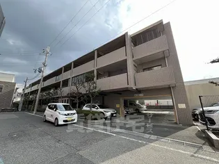 エバーグレイス西宮2の画像