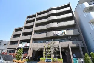 深井セレニテの画像