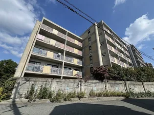 プラビーラコート3の画像