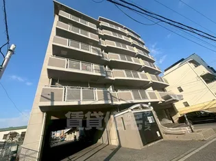 プレジオノーザンライツの画像