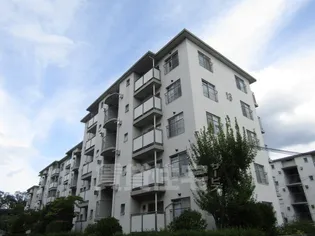 塚原台ハイツ13号棟の画像