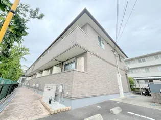 プラシードの画像