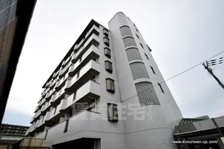 ホワイティ八野の画像