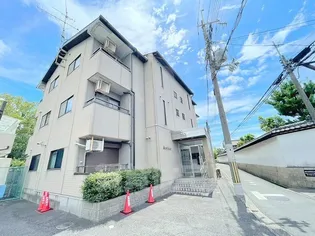 アンバーの画像