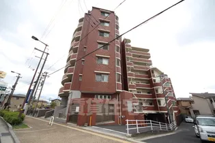 センチュリーアスカXの画像