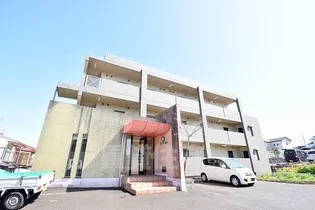 ローサセタの画像