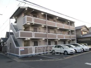 アストリア桂の画像