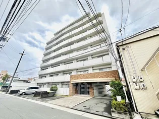 ホワイトドエル道徳の画像