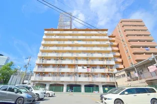 ホワイトハイツカドタ【2階】の外観