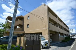 ヴィバコートの画像