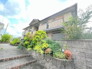 フローレンスの画像