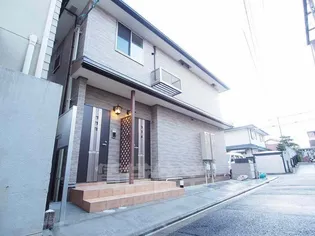 クリーム ローズの画像