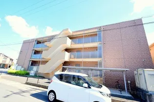 ハートフル セイシーズの画像