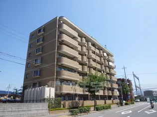 グレース ダインの画像