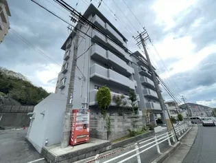 ベルトゥリー若草の画像