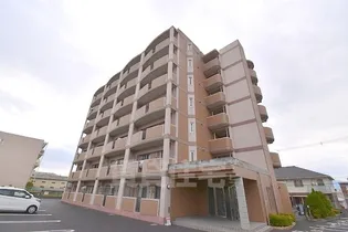 プリムローズ Jの画像