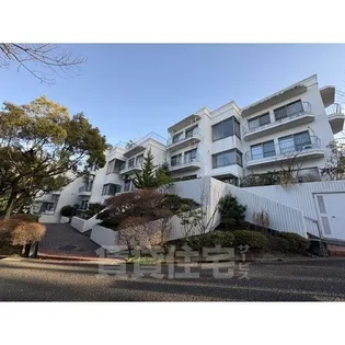 シャンボール山手D棟の画像