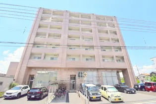 ベルヴィオウミの画像